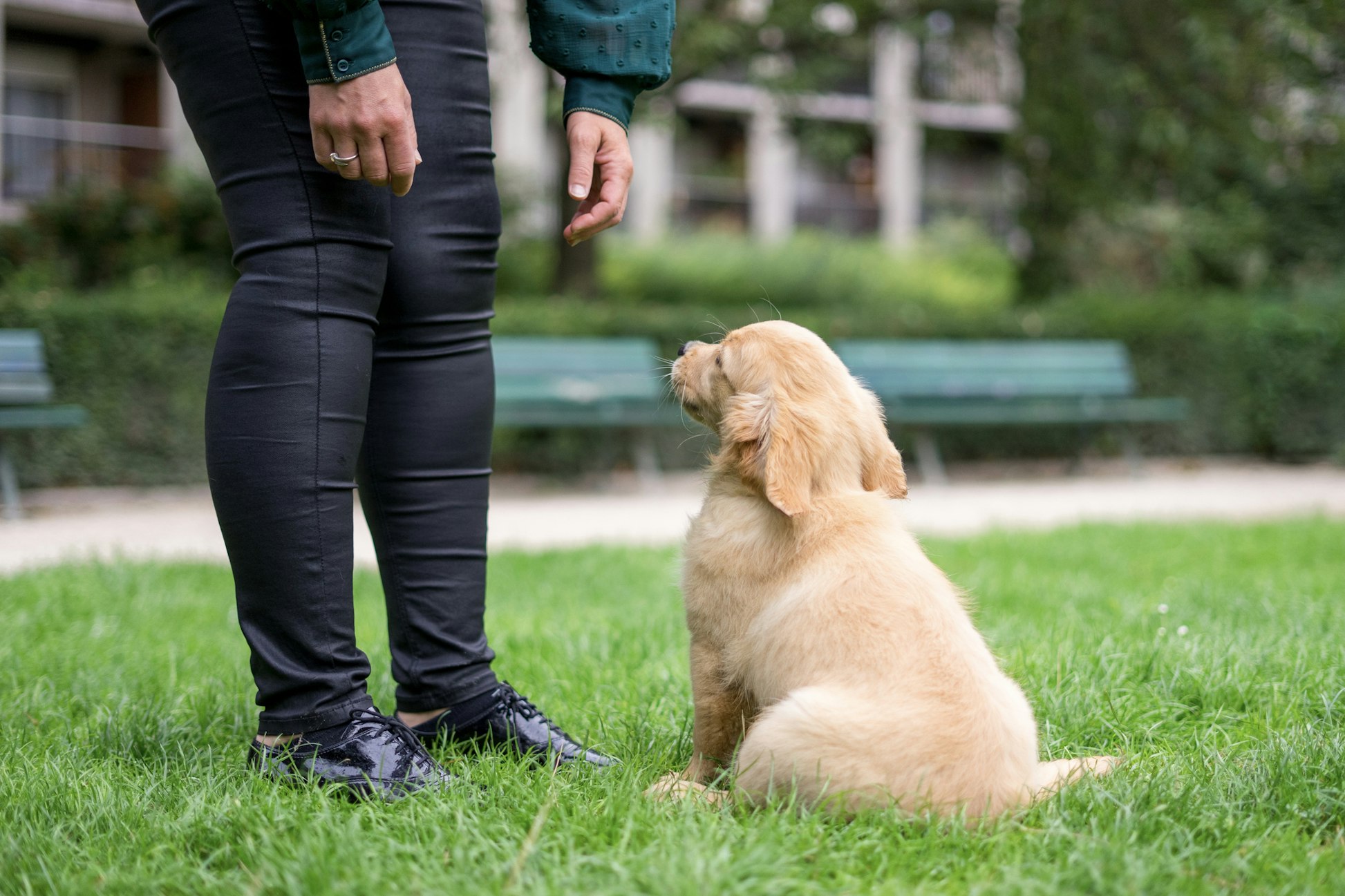 Newsela Instructional Content Platform