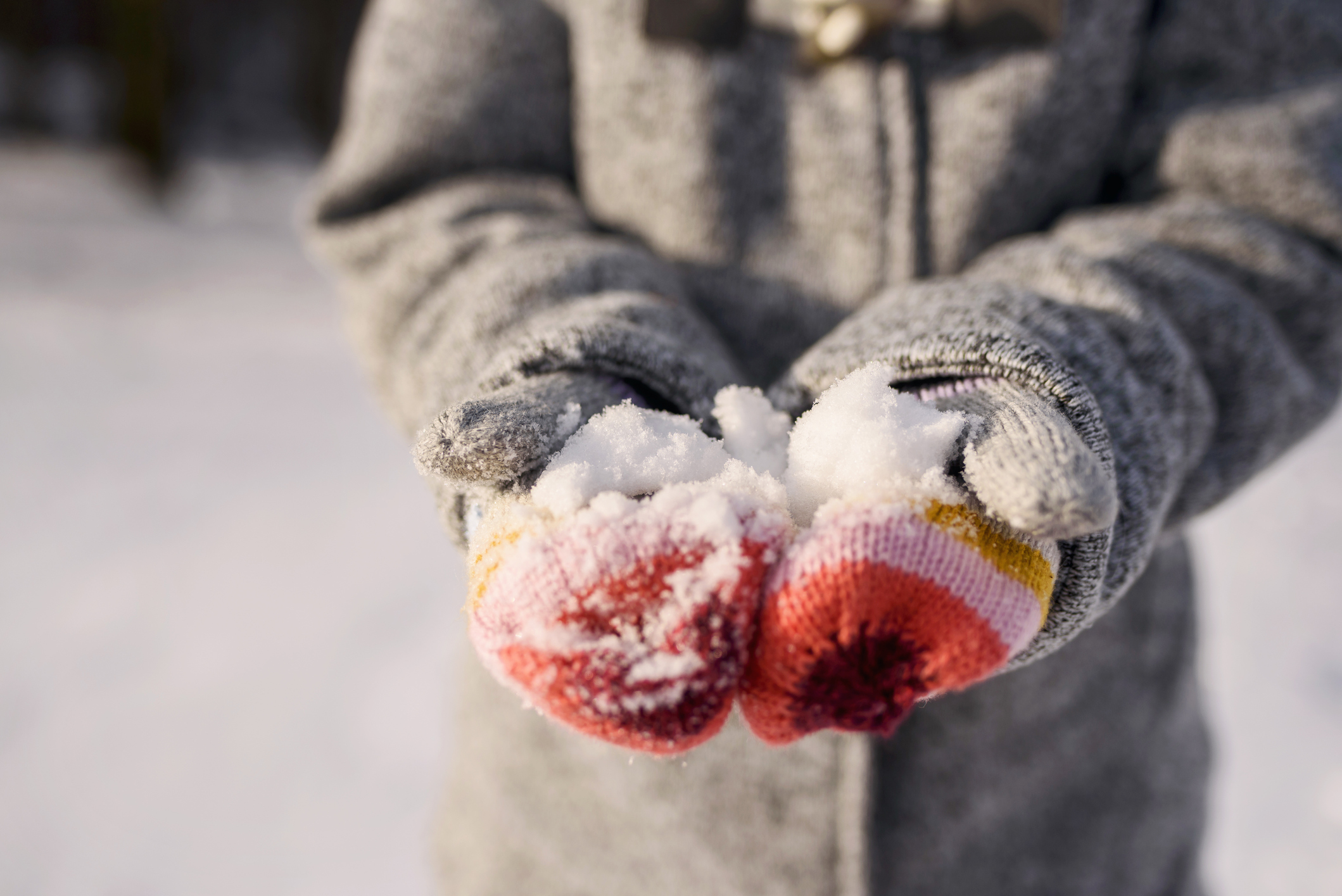 Newsela Is it safe to eat snow?