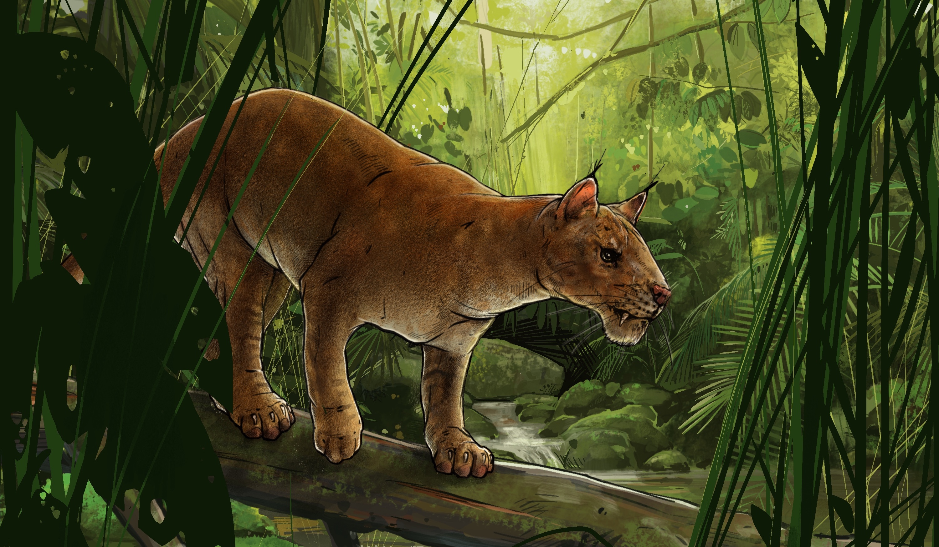 Newsela Meet one of the earliest meateating mammals