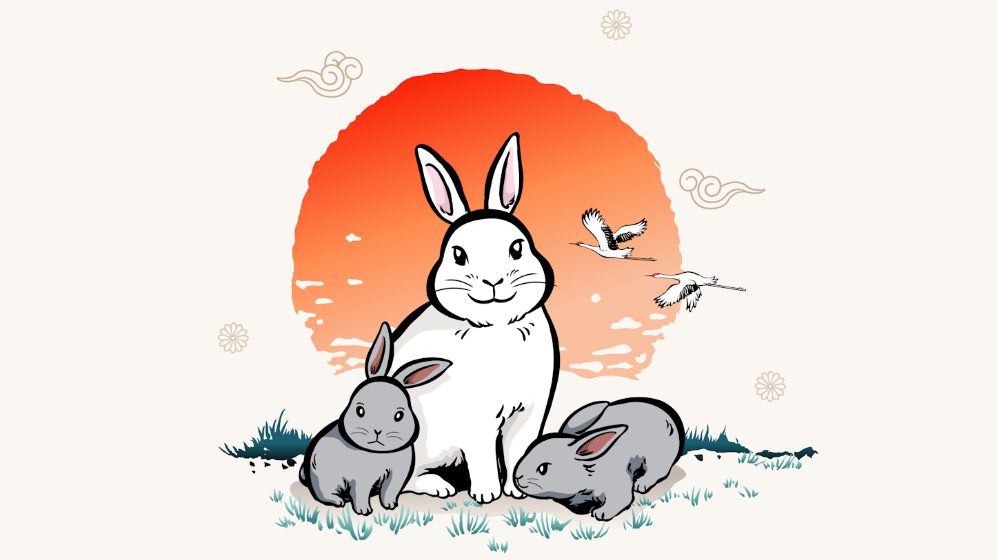Lunar New Year Hop into the Year of the Rabbit