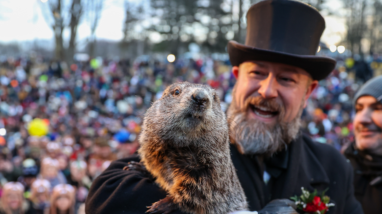 Introducing Phil Pennsylvania’s most famous groundhog