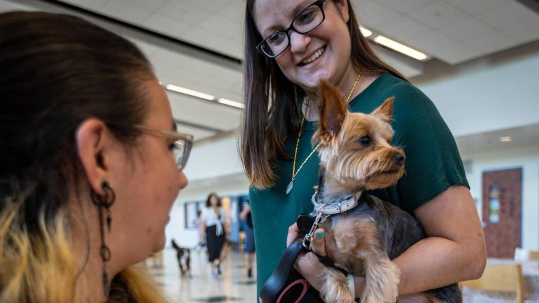 Florida high school emotional support animals