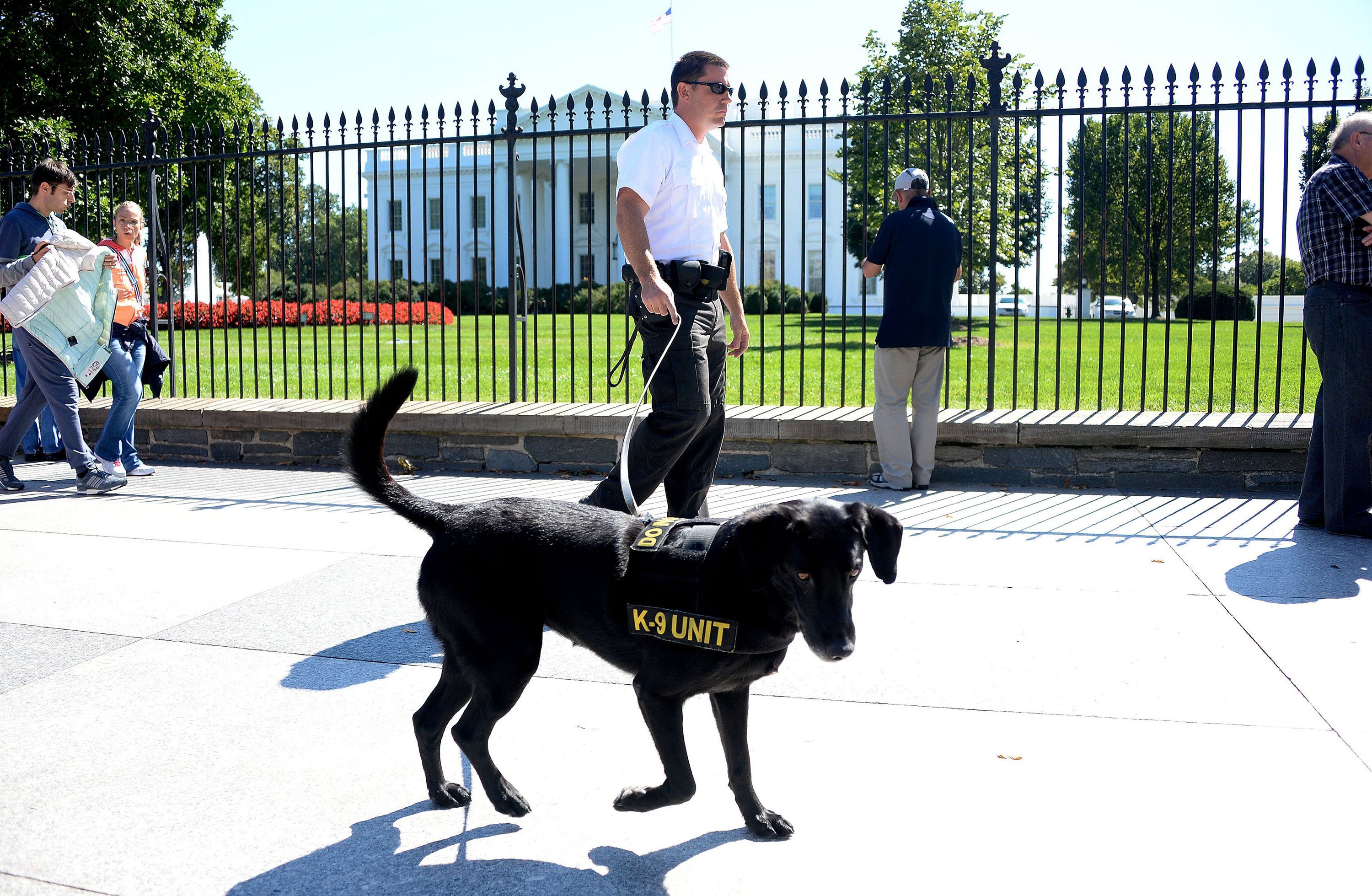 White House guard dogs are heroes