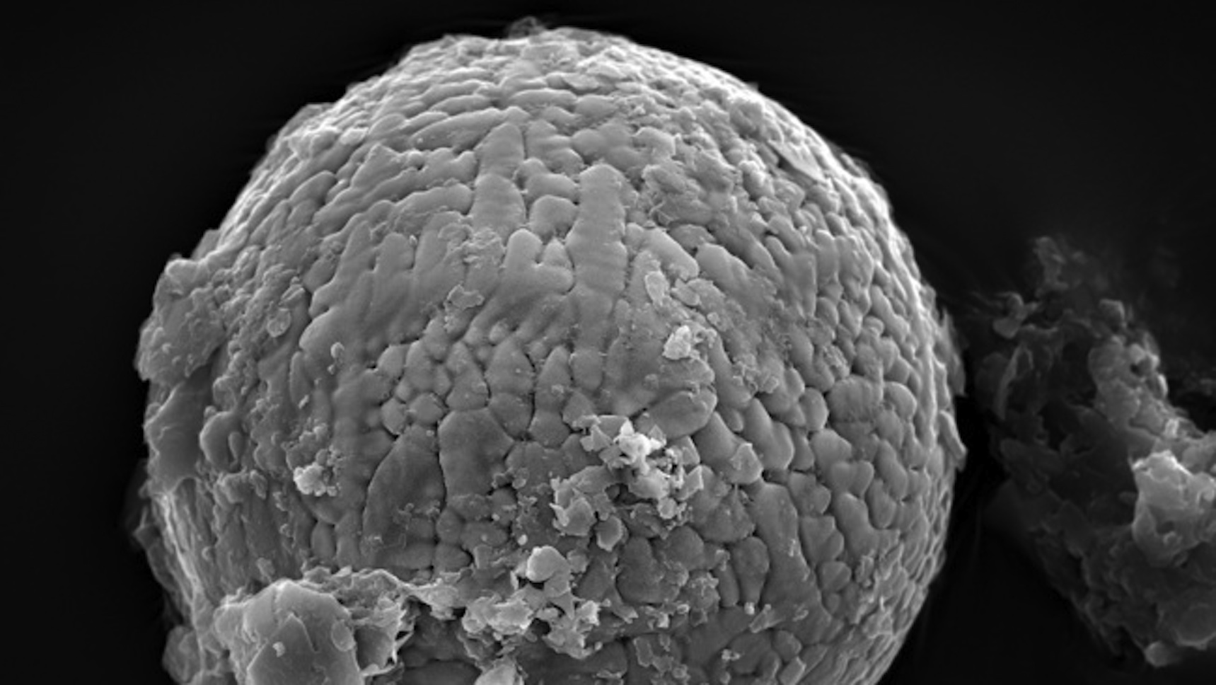 Newsela Old space dust gives scientists a new view of the Earth's