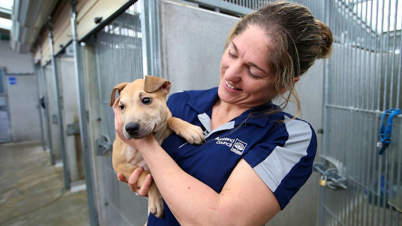 Newsela - Dream Jobs: Animal adoption agent Newsela - Dream Jobs: Animal adoption agent