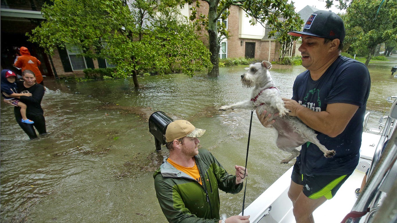 Newsela - How to save your pet's life in a natural disaster
