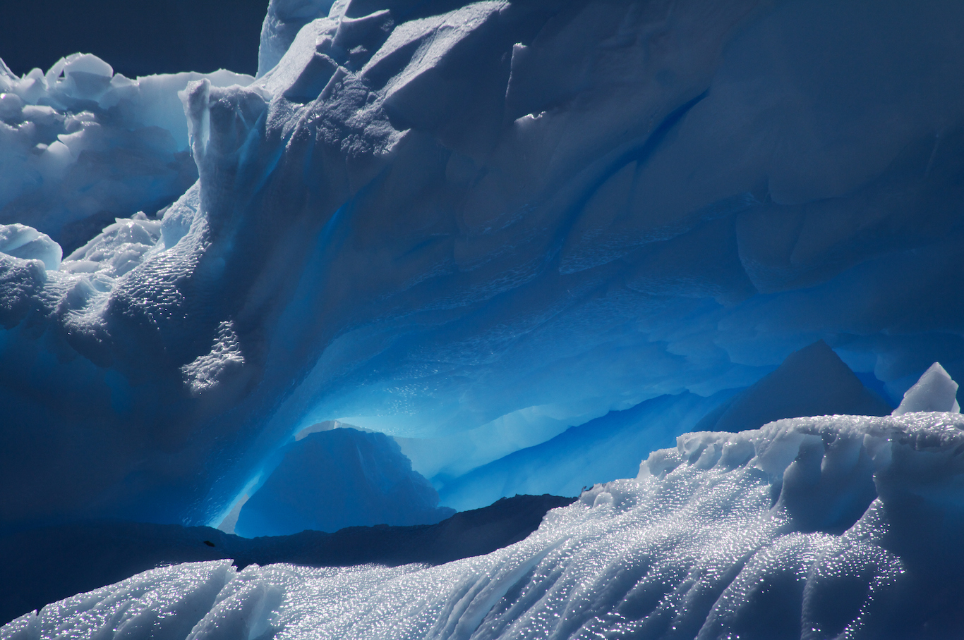 Newsela | What Life Lies Beneath The Frozen Antarctic Has Scientists ...