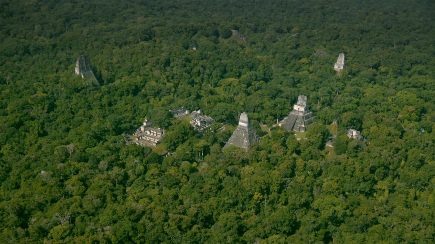 Laser Scans Reveal Maya "megalopolis" Below Guatemalan Jungle