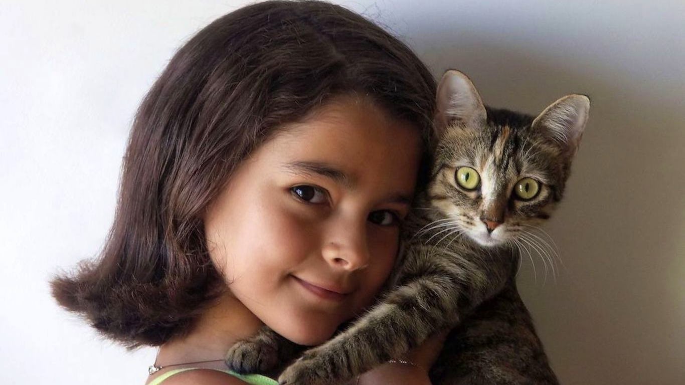 Newsela Your Cat Might Think It Is Silly To Meow To Them So Just Say Their Name Newsela Your Cat Might Think It Is Silly To Meow To Them So Just Say Their Name