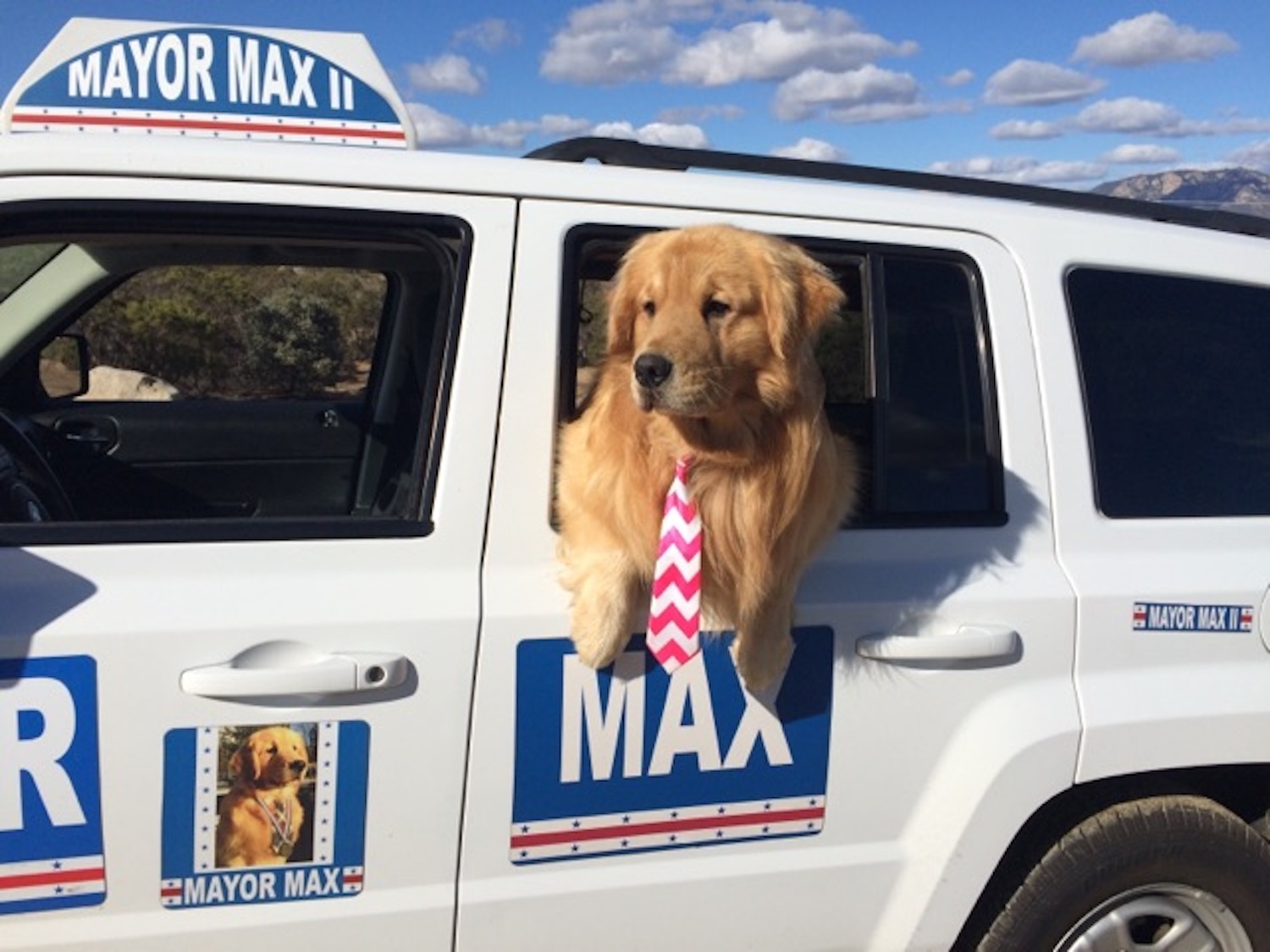 Newsela How a dog became mayor of a California town