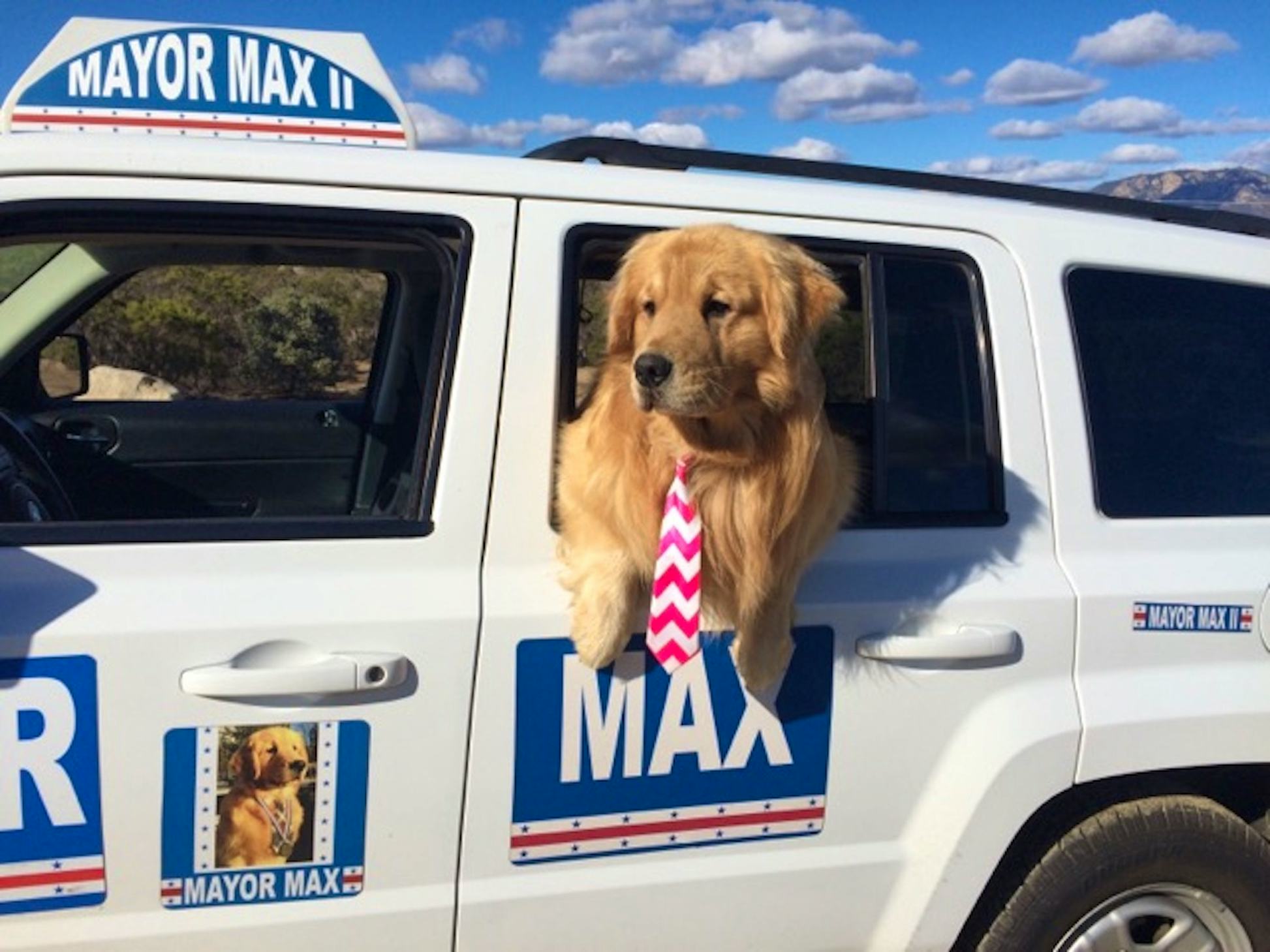 Newsela How a dog became mayor of a California town