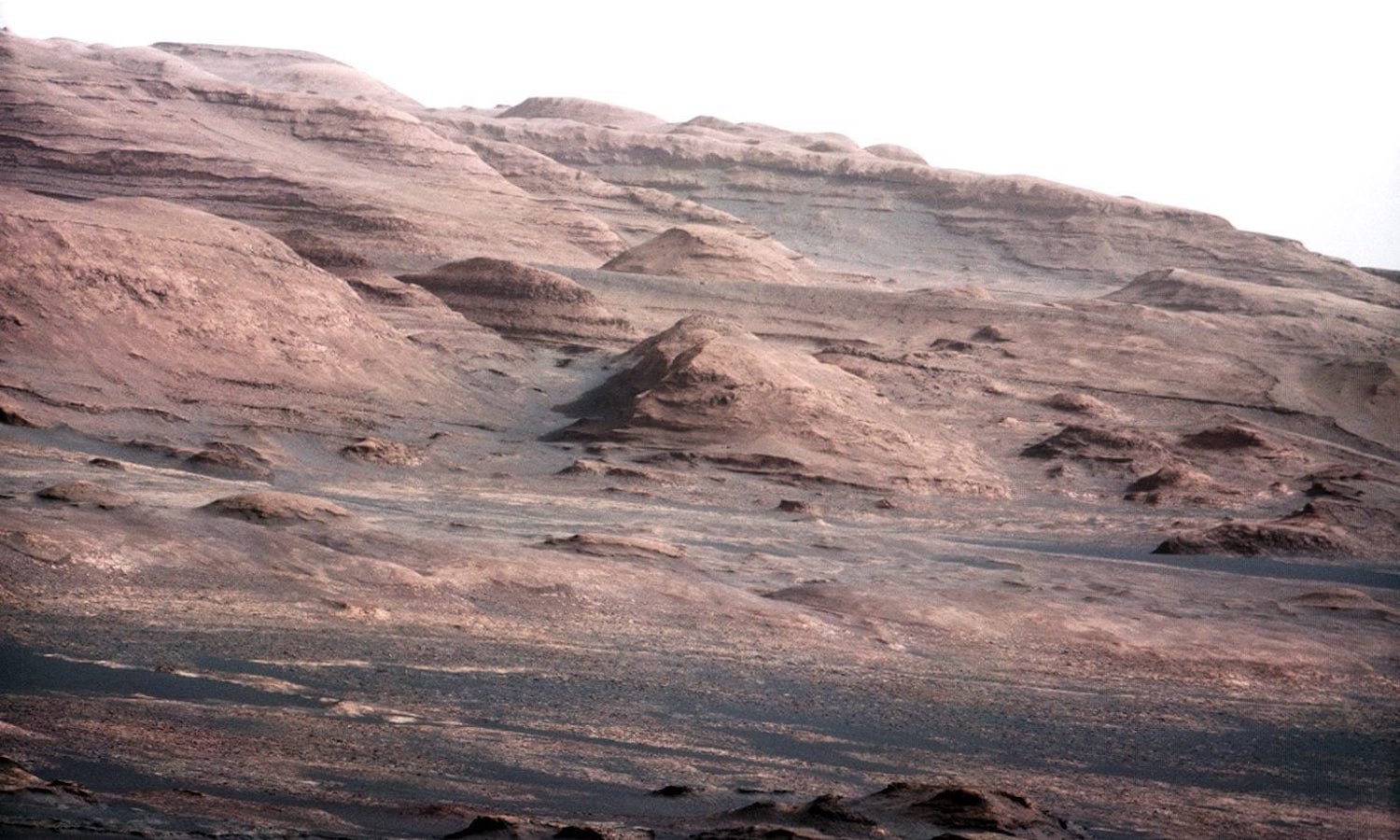 Newsela Farming on Mars Special "aerogel" sheets might make it possible