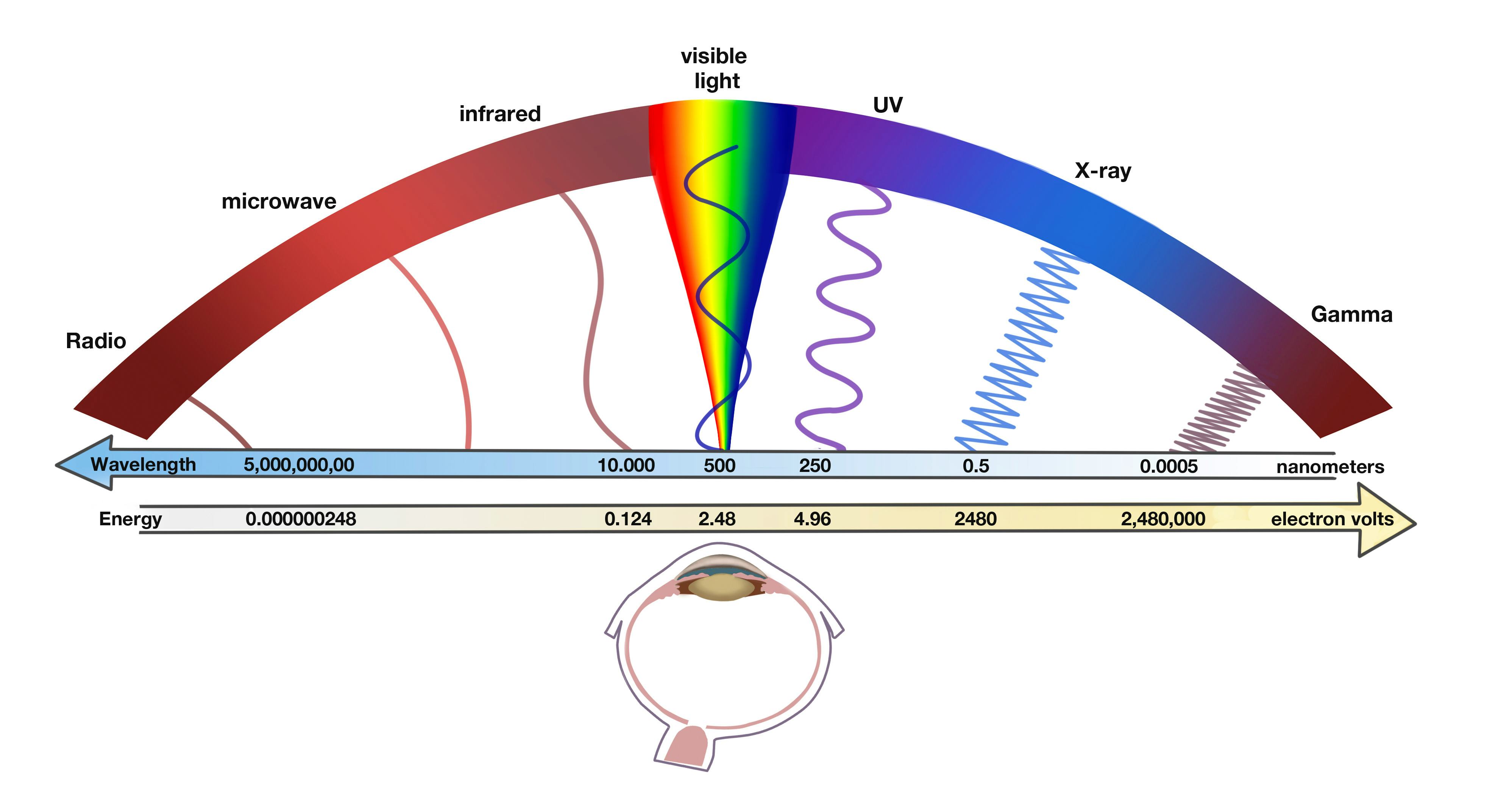 - is the visible light spectrum?