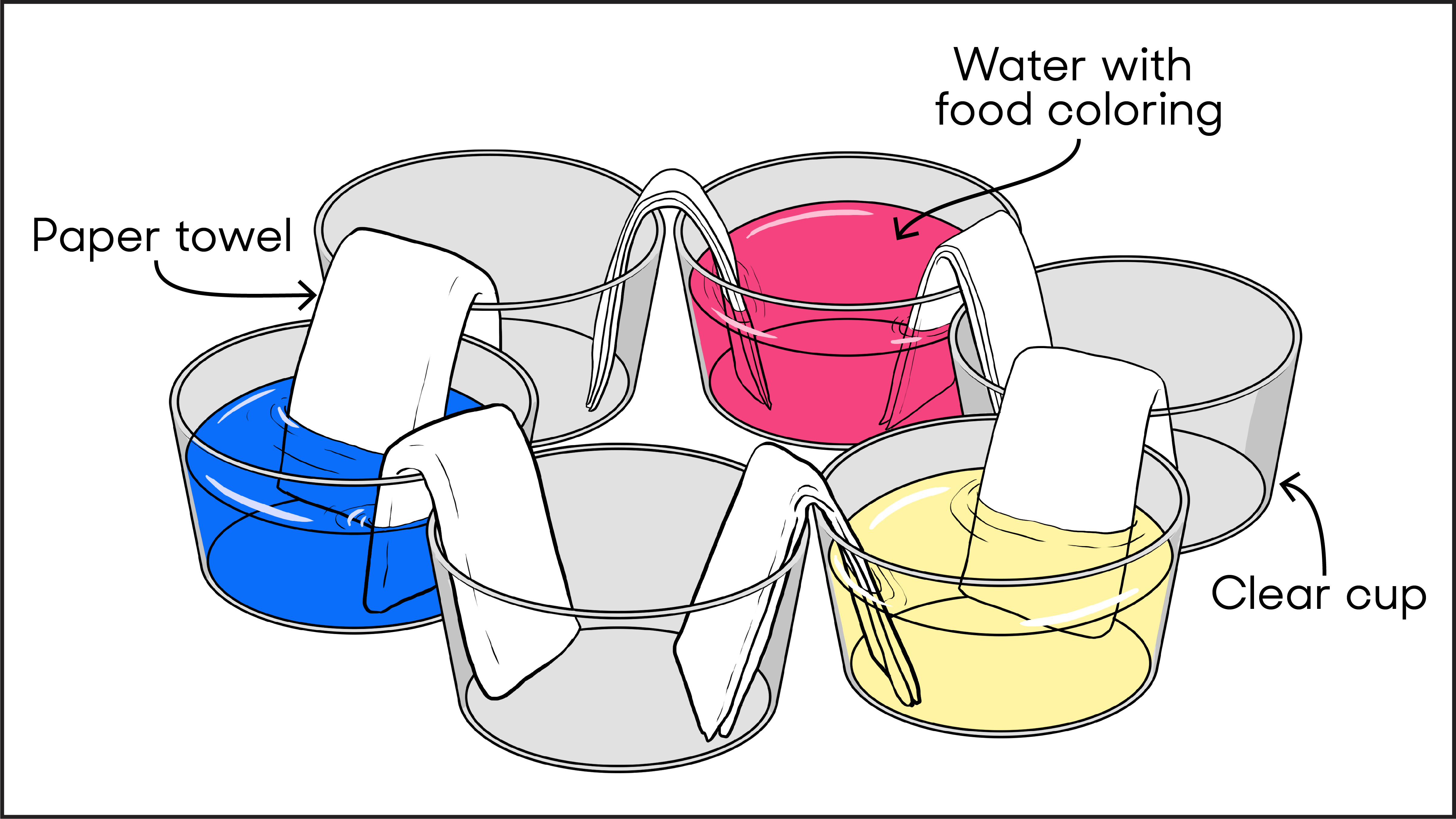 Activity Chasing the rainbow