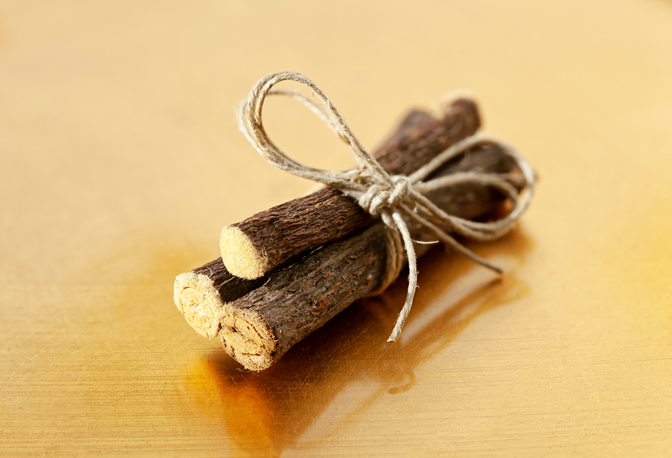 Newsela The Bundle of Sticks